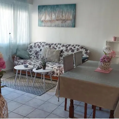 Dubrovacka Apartamento *